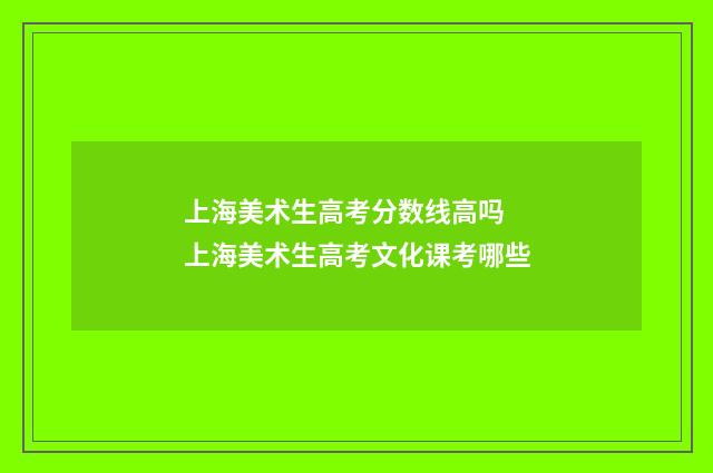 上海美术生高考分数线高吗 上海美术生高考文化课考哪些