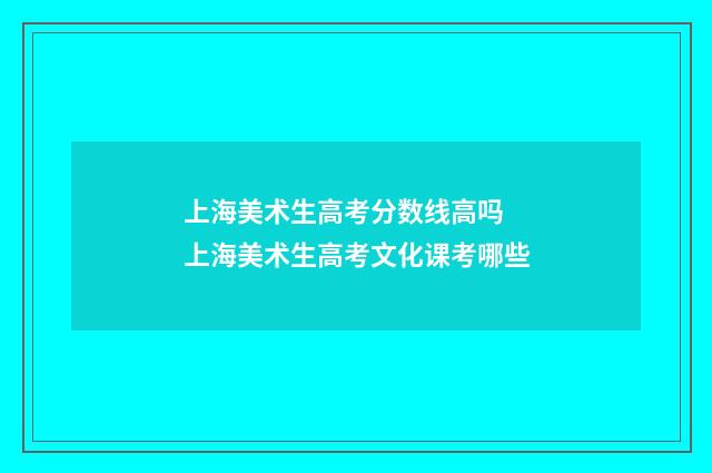 上海美术生高考分数线高吗 上海美术生高考文化课考哪些