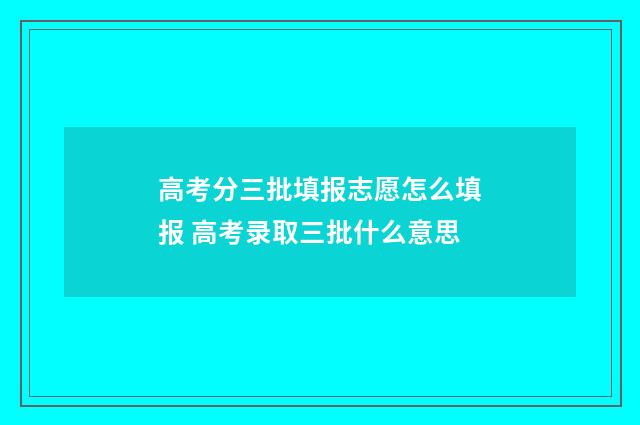 高考分三批填报志愿怎么填报 高考录取三批什么意思