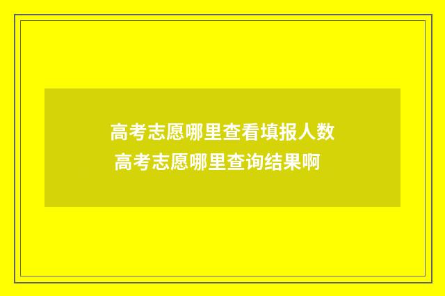 高考志愿哪里查看填报人数 高考志愿哪里查询结果啊