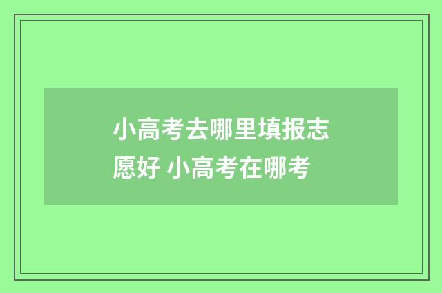 小高考去哪里填报志愿好 小高考在哪考