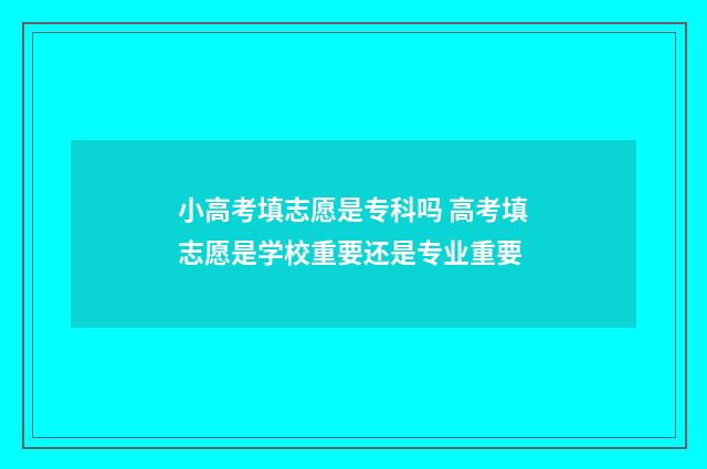 小高考填志愿是专科吗 高考填志愿是学校重要还是专业重要