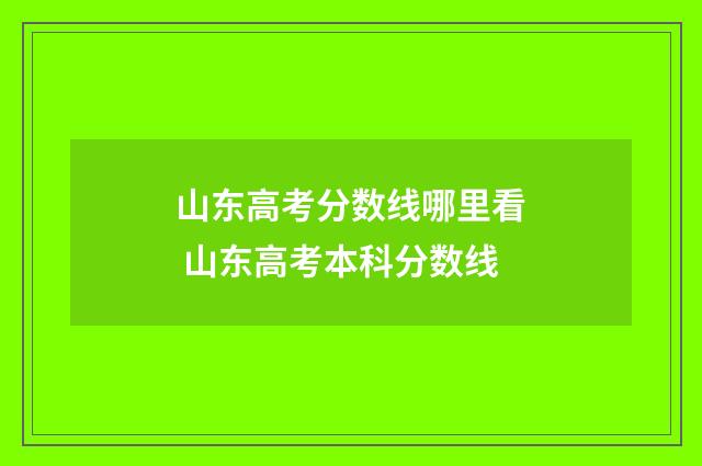 山东高考分数线哪里看 山东高考本科分数线