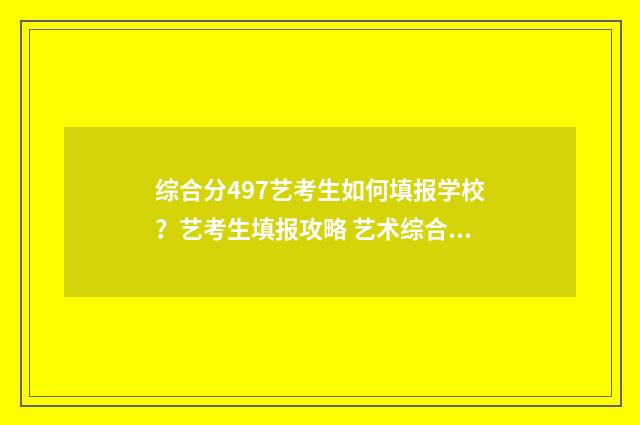 综合分497艺考生如何填报学校？艺考生填报攻略 艺术综合分480