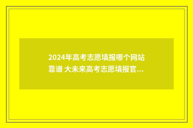 2024年高考志愿填报哪个网站靠谱 大未来高考志愿填报官网