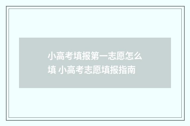小高考填报第一志愿怎么填 小高考志愿填报指南