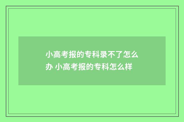 小高考报的专科录不了怎么办 小高考报的专科怎么样