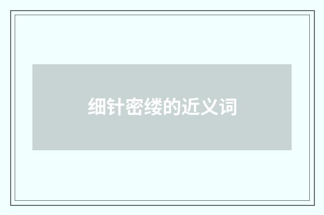 细针密缕的近义词