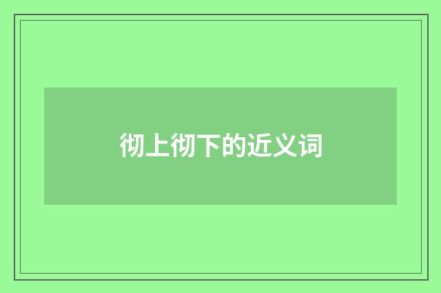 彻上彻下的近义词