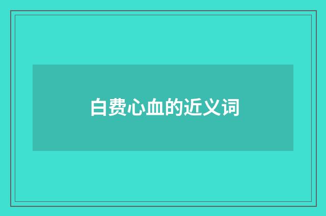 白费心血的近义词