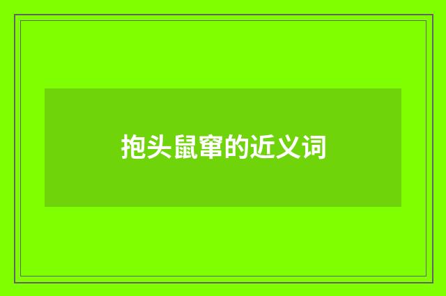 抱头鼠窜的近义词