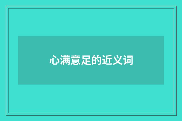心满意足的近义词