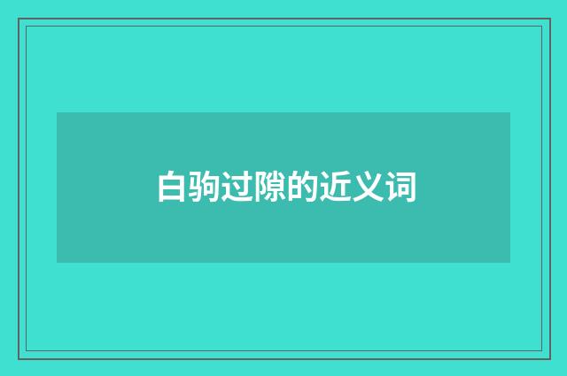 白驹过隙的近义词