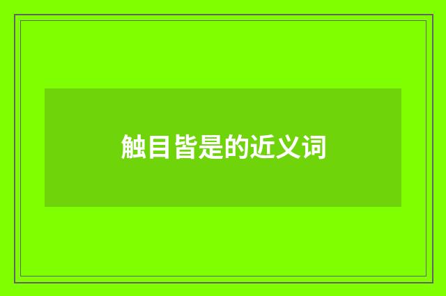 触目皆是的近义词