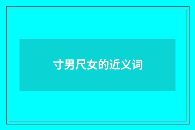 寸男尺女的近义词