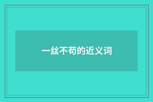 一丝不苟的近义词