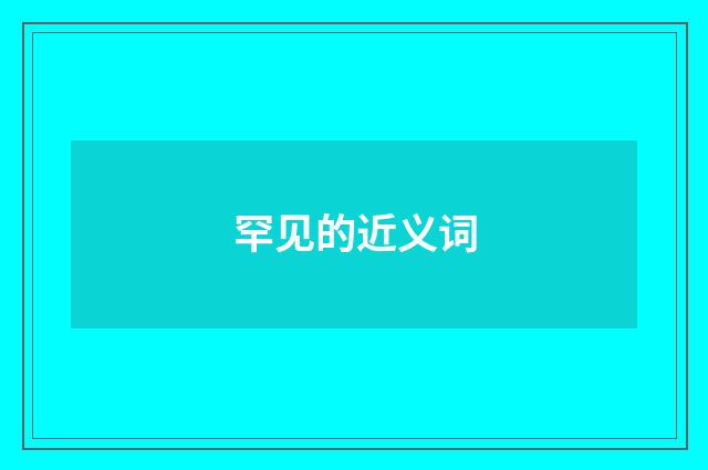 罕见的近义词