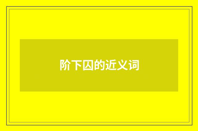 阶下囚的近义词