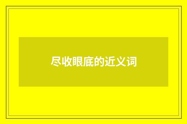 尽收眼底的近义词