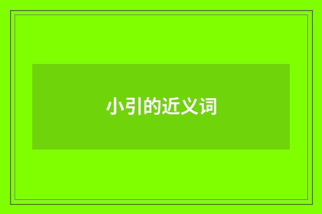 小引的近义词