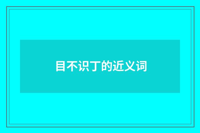 目不识丁的近义词