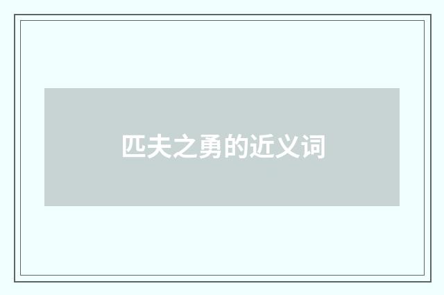 匹夫之勇的近义词