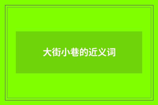 大街小巷的近义词