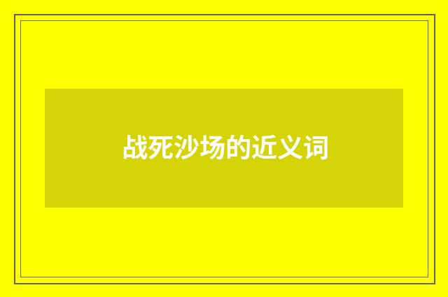 战死沙场的近义词
