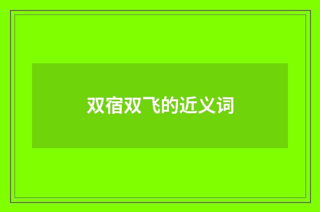 双宿双飞的近义词