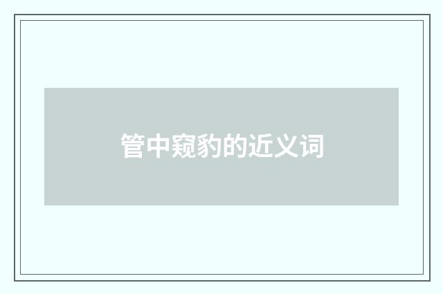 管中窥豹的近义词