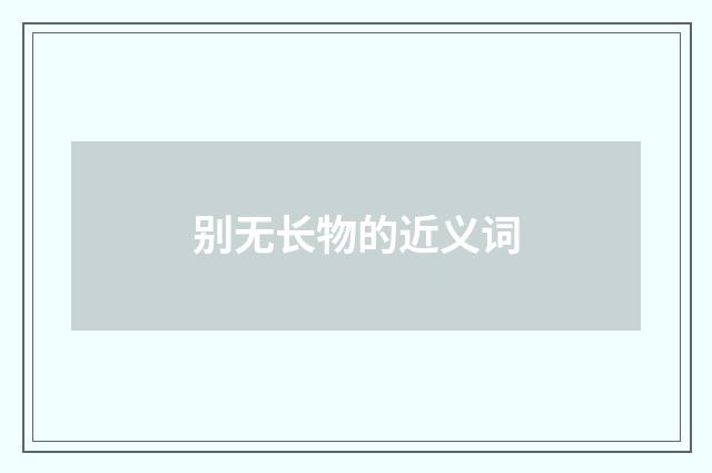 别无长物的近义词