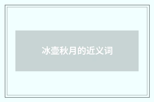 冰壶秋月的近义词