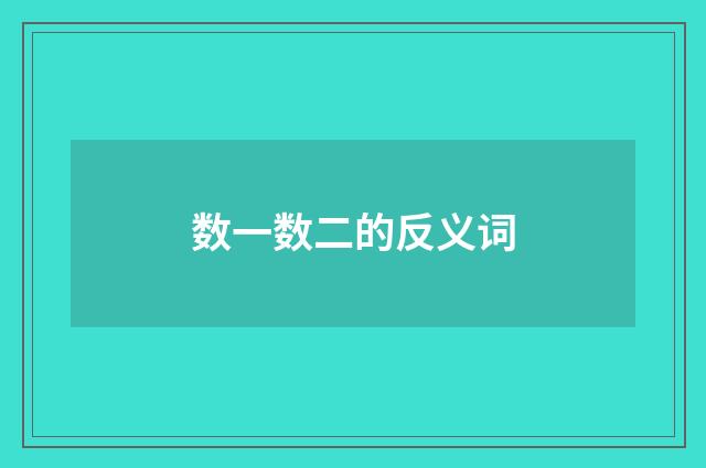 数一数二的反义词