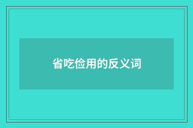 省吃俭用的反义词