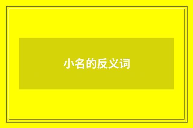 小名的反义词