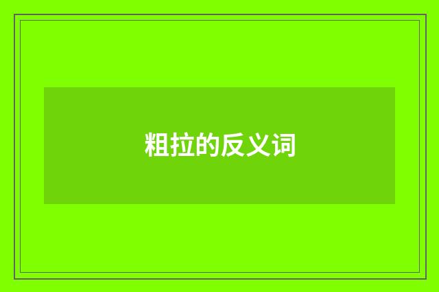 粗拉的反义词
