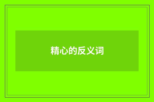 精心的反义词