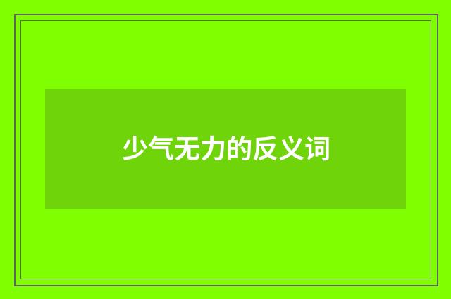 少气无力的反义词