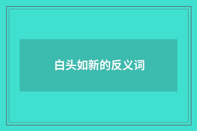 白头如新的反义词