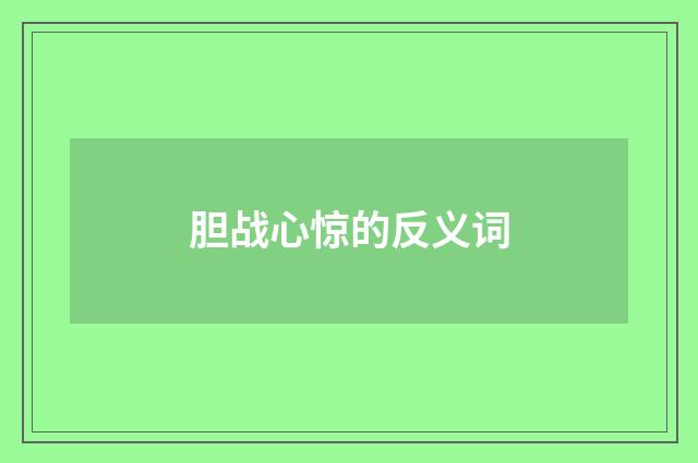 胆战心惊的反义词