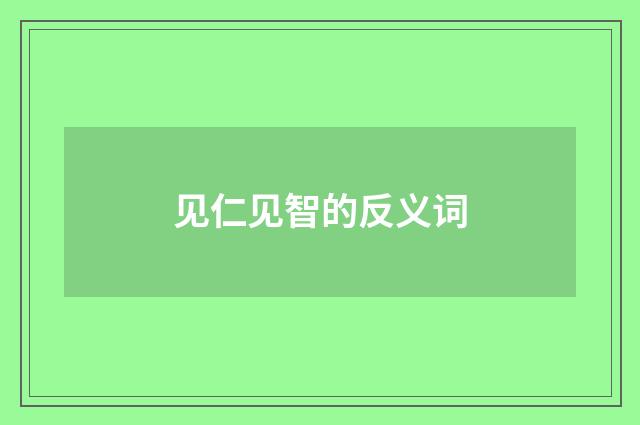 见仁见智的反义词
