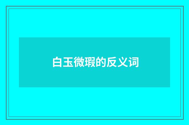 白玉微瑕的反义词