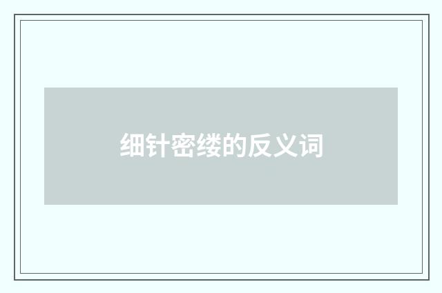 细针密缕的反义词