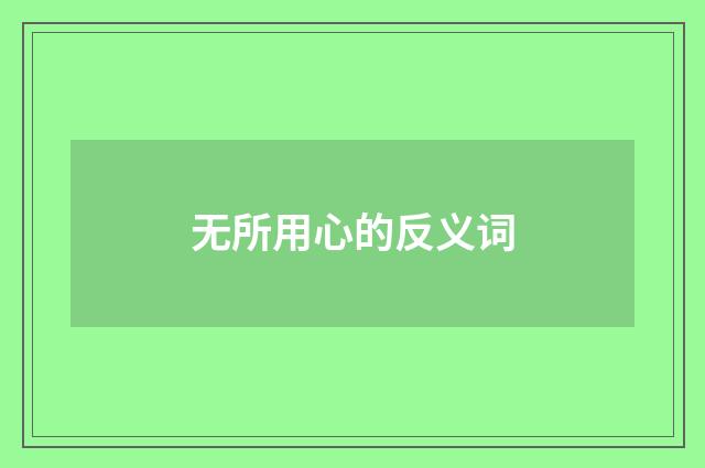 无所用心的反义词