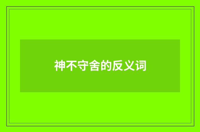 神不守舍的反义词