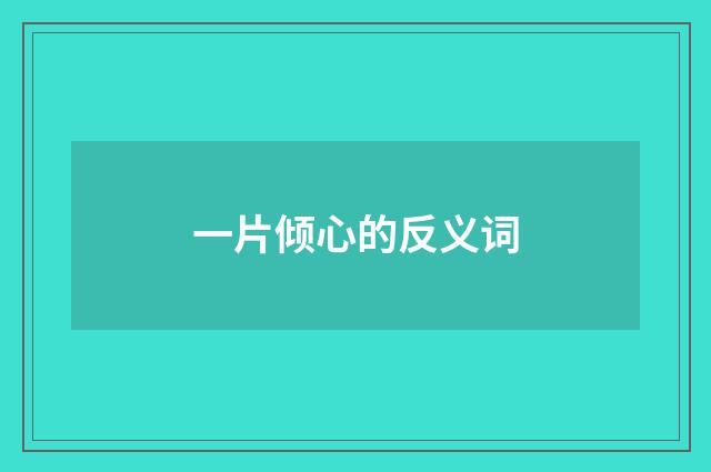 一片倾心的反义词
