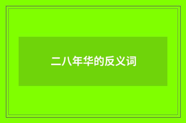 二八年华的反义词
