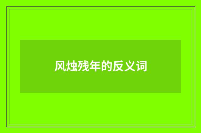 风烛残年的反义词