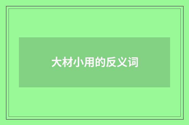 大材小用的反义词