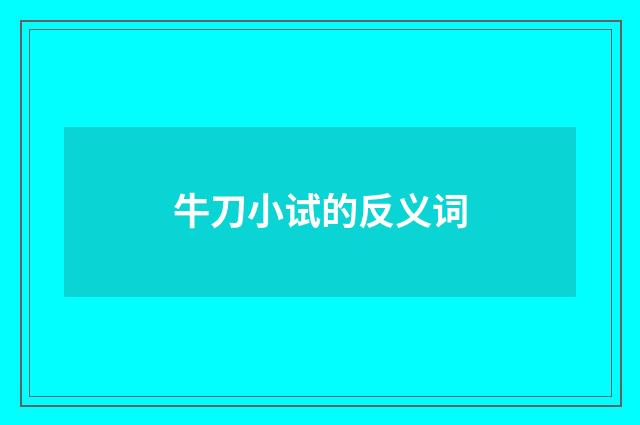 牛刀小试的反义词